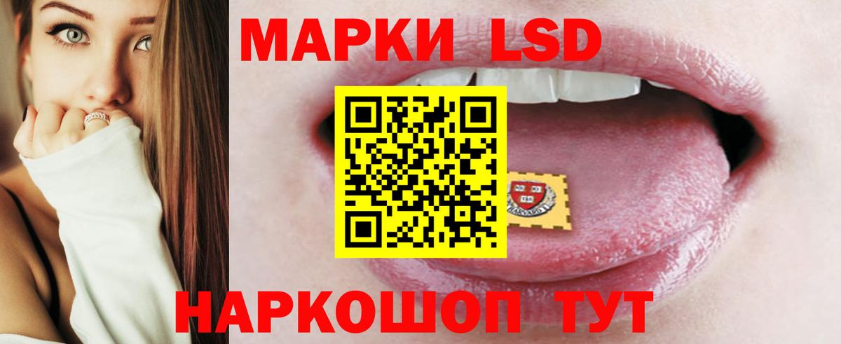 Сургут  Лсд 25 экстази  Вход с VPN  Лсд 25 экстази кислота 
