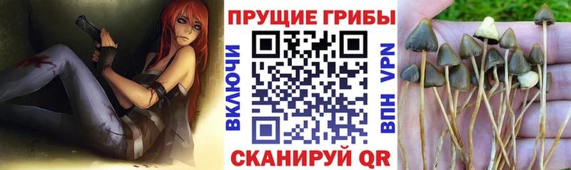 Галлюциногенные грибы ЛСД  площадка формула  Сургут 