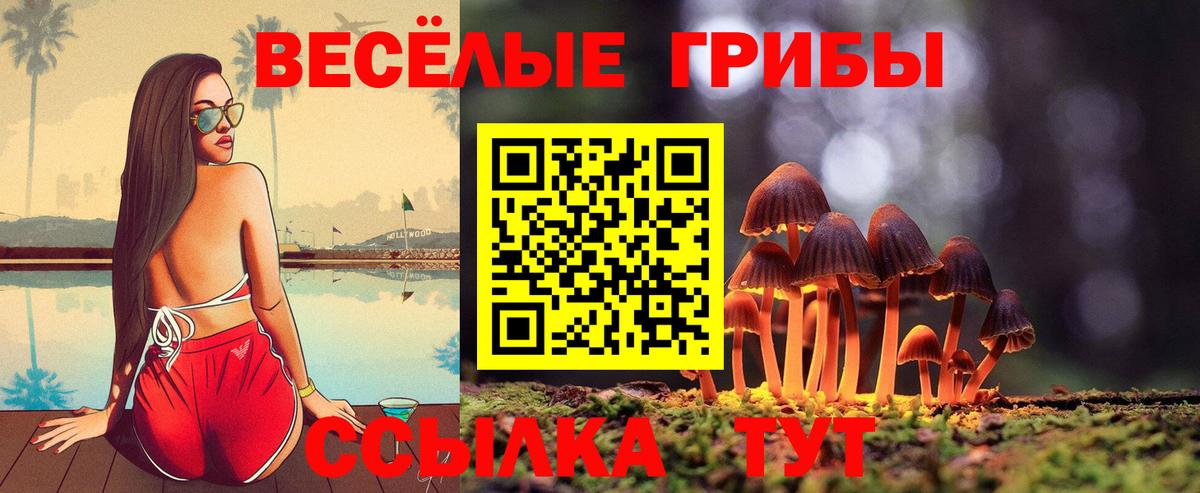 магазин продажи наркотиков  Галлюциногенные грибы прущие грибы  Вход с VPN  Сургут 